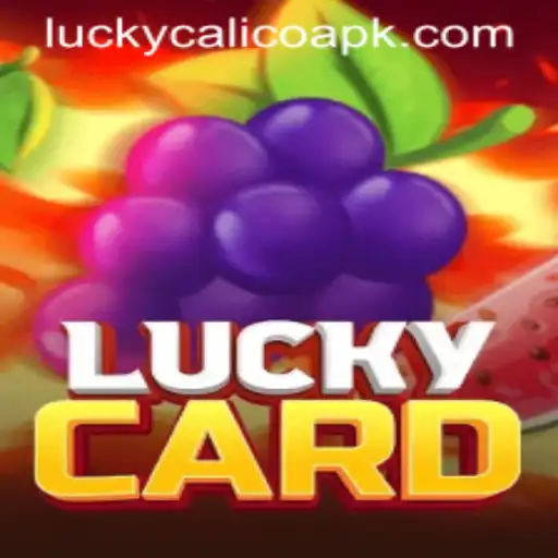 Unveiling the Exciting World of LuckyCard: A Dive into LUCKY CALICO