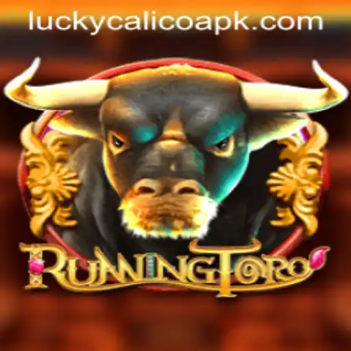 RunningToro: A Thrilling Adventure Through LUCKY CALICO